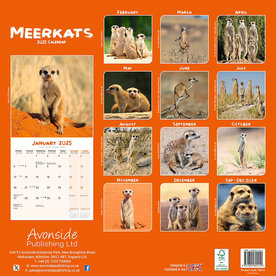 Meerkats Kalender 2025 De Kalenderman