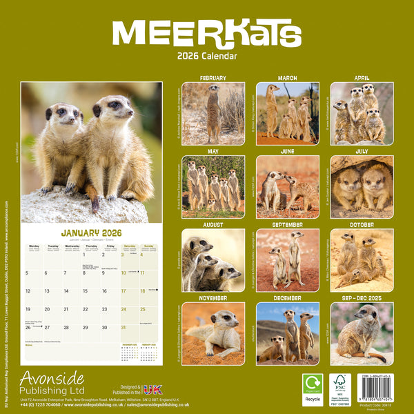 Meerkats Kalender 2026