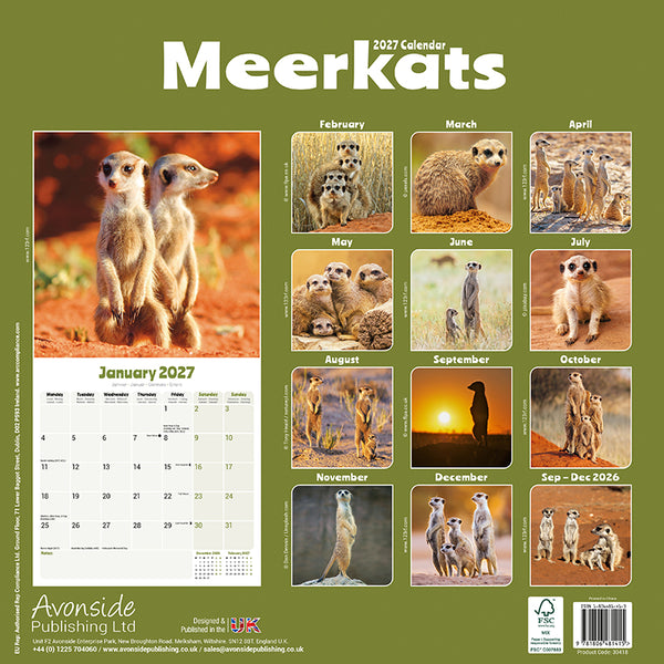 Meerkats Kalender 2027