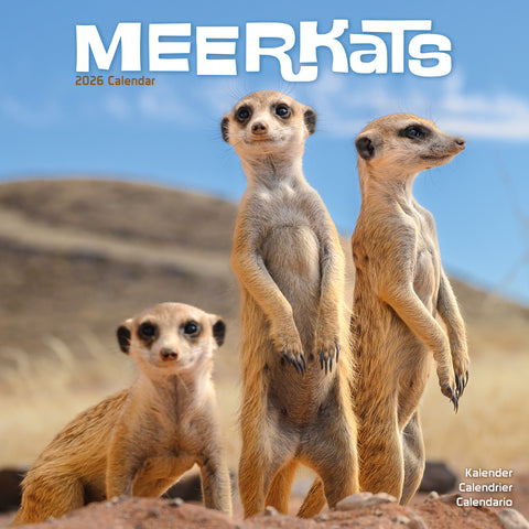 Meerkats Kalender 2026