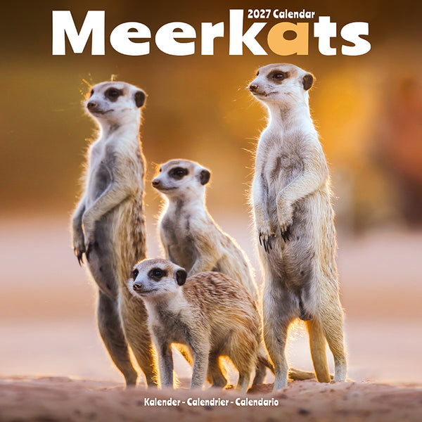 Meerkats Kalender 2027