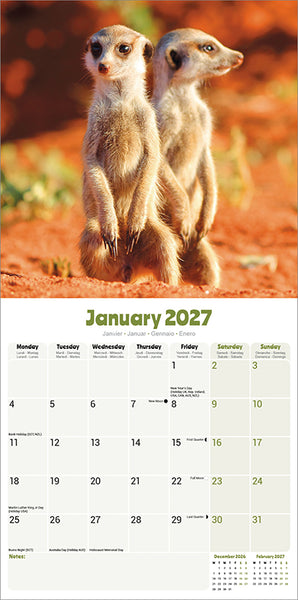 Meerkats Kalender 2027