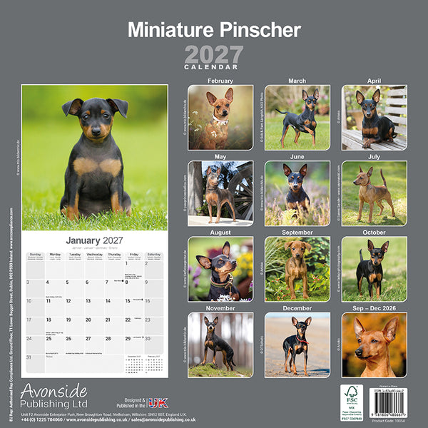 Miniature Pinscher Kalender 2027