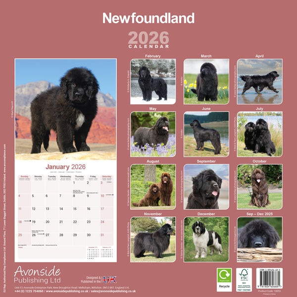 Newfoundland Kalender 2026