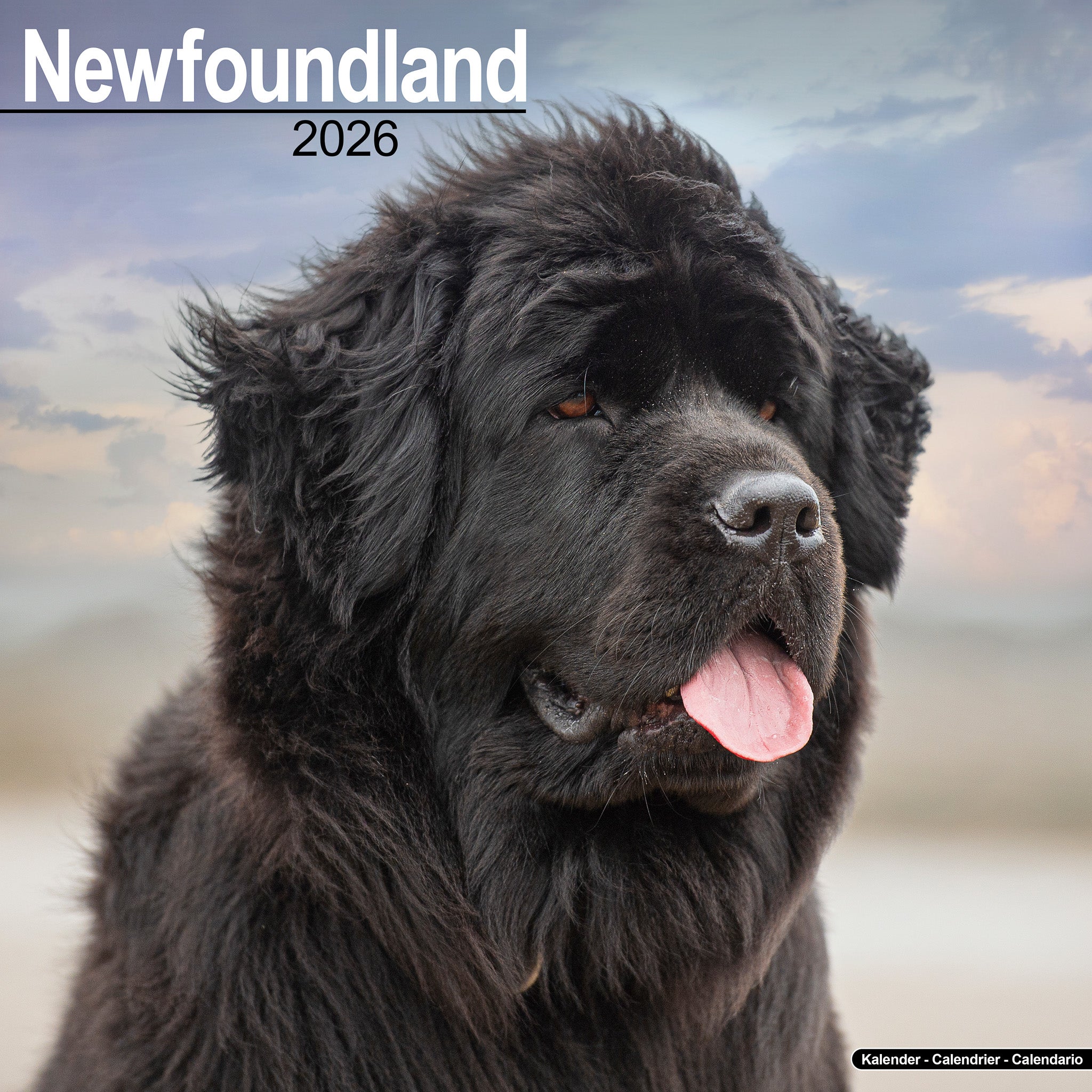 Newfoundland Kalender 2026