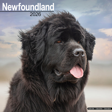 Newfoundland Kalender 2026