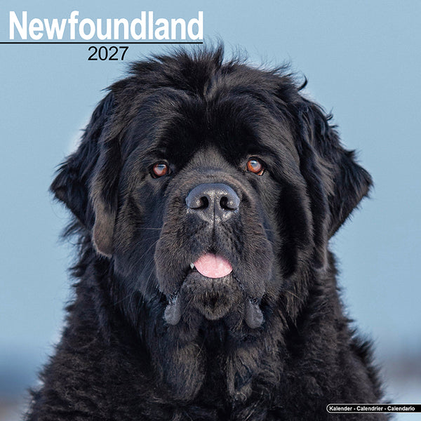 Newfoundland Kalender 2027