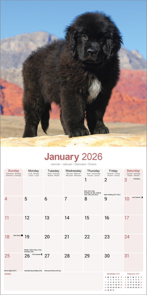 Newfoundland Kalender 2026