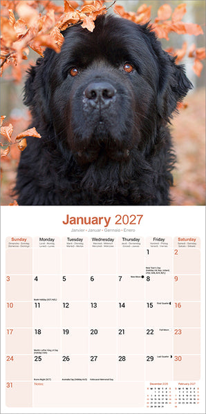 Newfoundland Kalender 2027
