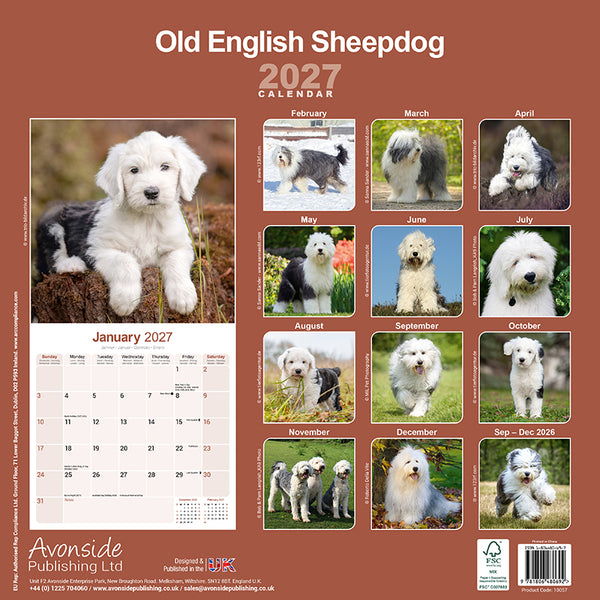 Old English Sheepdog Kalender 2027