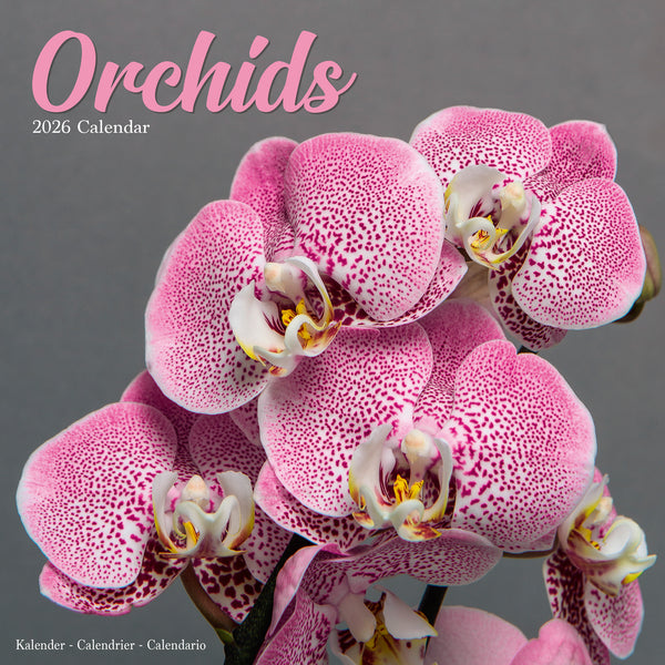 Orchids Kalender 2026