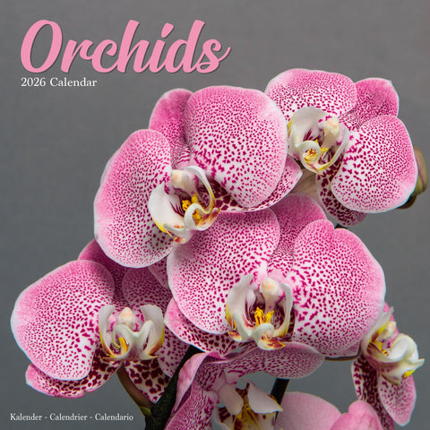 Orchids Kalender 2026