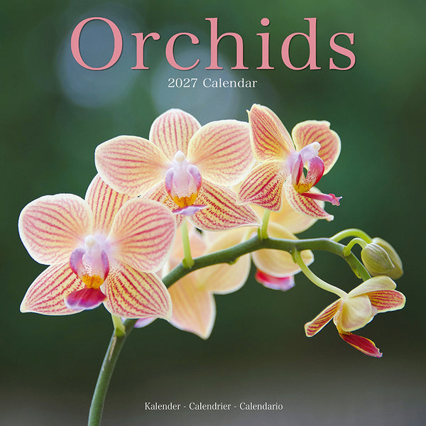 Orchids Kalender 2027