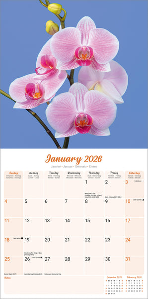 Orchids Kalender 2026