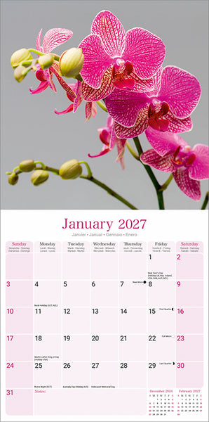 Orchids Kalender 2027