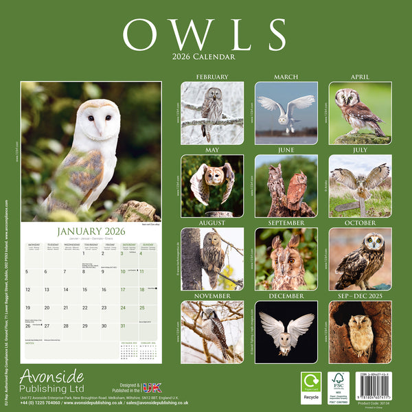 Owls Kalender 2026