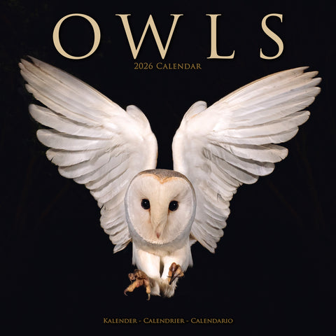 Owls Kalender 2026
