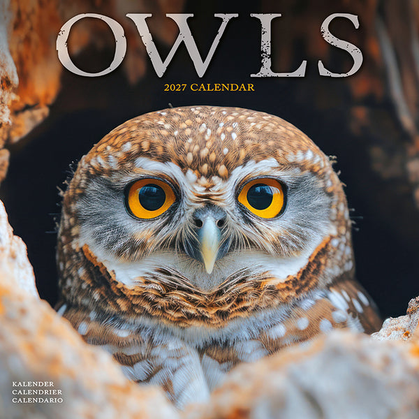 Owls Kalender 2027