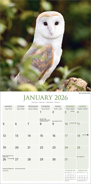 Owls Kalender 2026