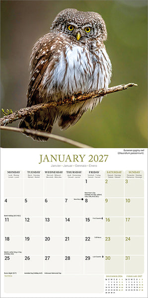 Owls Kalender 2027