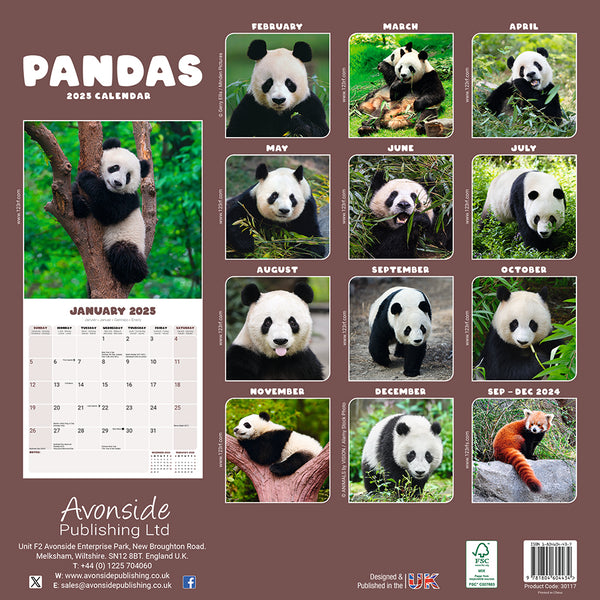 Panda Collection Calendar 2025