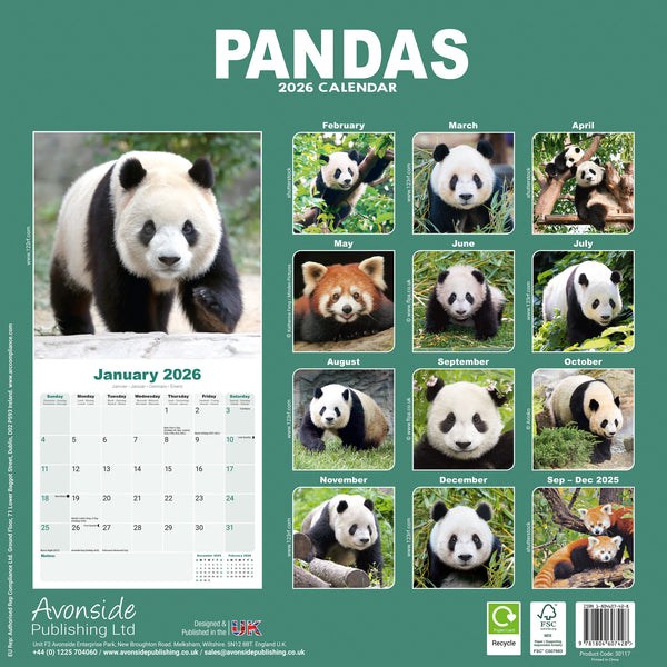 Pandas Kalender 2026