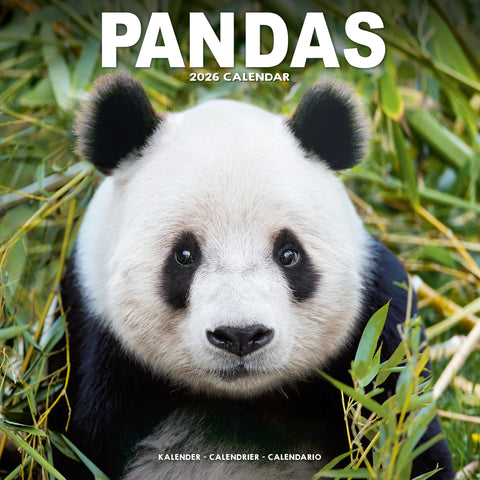 Pandas Kalender 2026