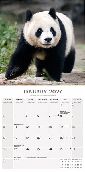 Pandas Kalender 2027