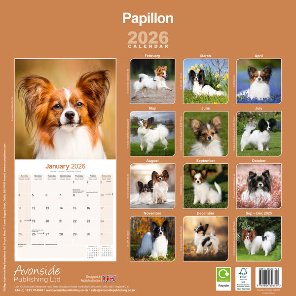 Papillon Kalender 2026