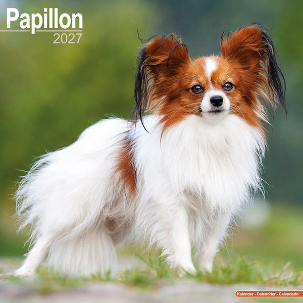 Papillon Kalender 2027