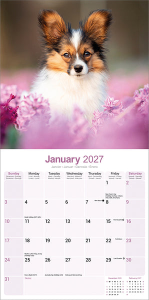 Papillon Kalender 2027