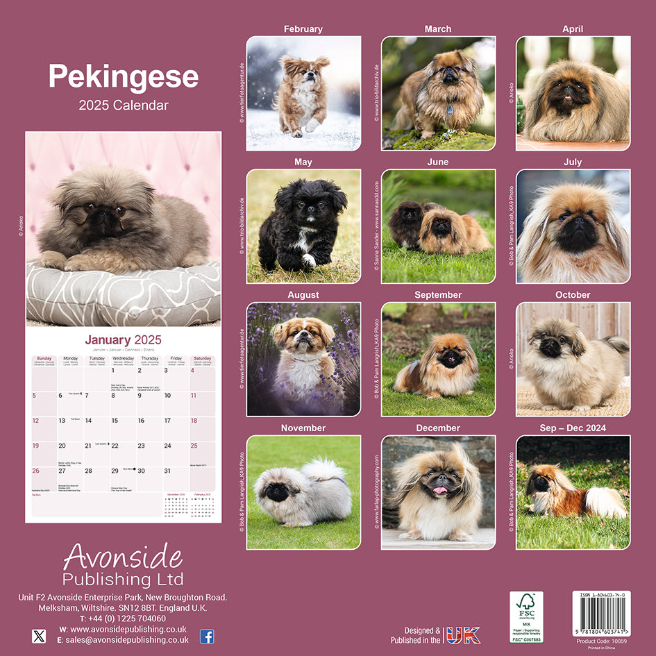 Pekingese Kalender 2026 De Kalenderman