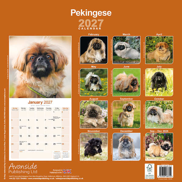 Pekingese Kalender 2027