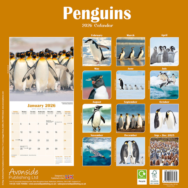 Penguins Kalender 2026