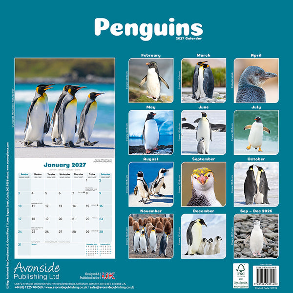Penguins Kalender 2027