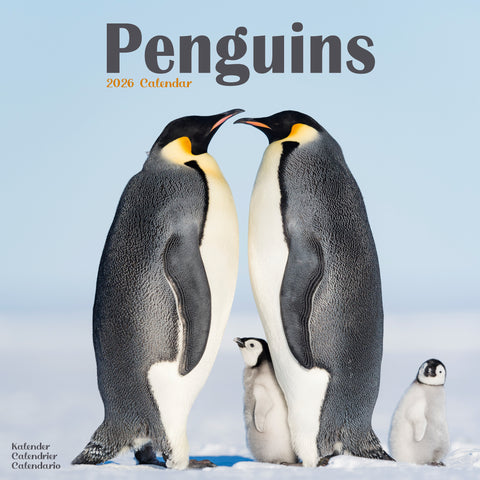 Penguins Kalender 2026