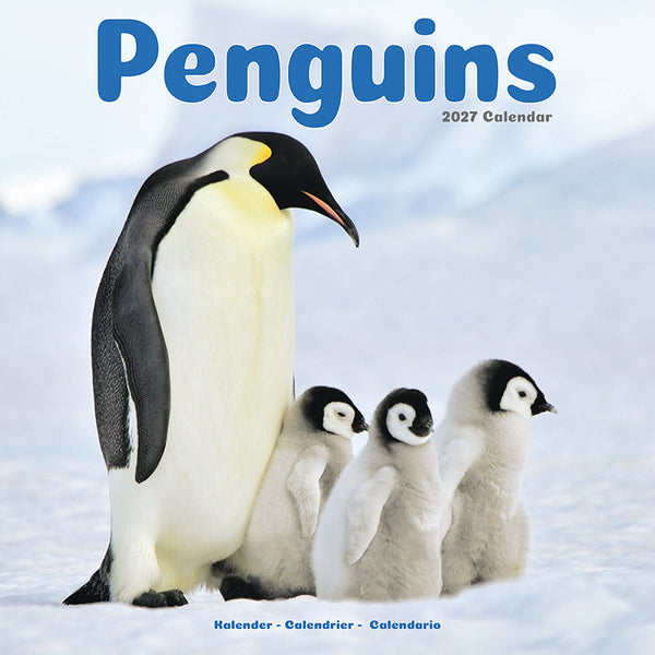 Penguins Kalender 2027