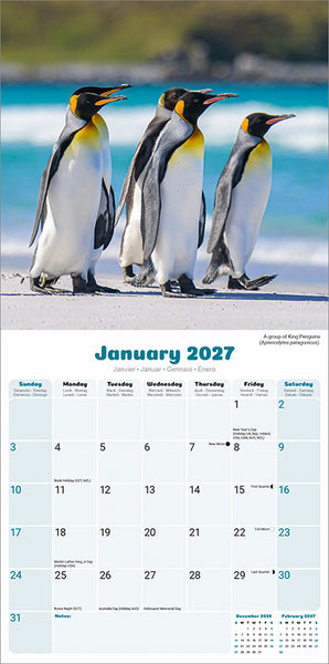 Penguins Kalender 2027