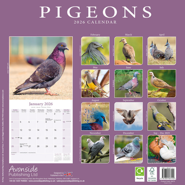 Pigeons Kalender 2026