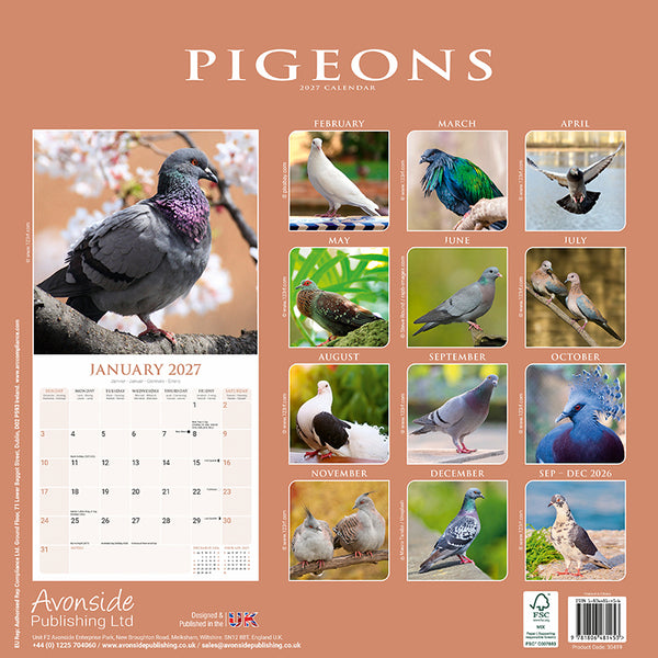 Pigeons Kalender 2027