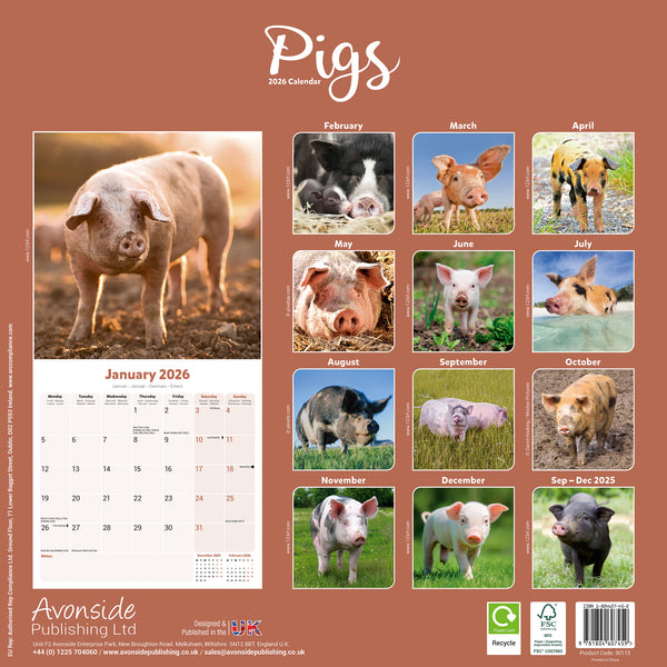 Pigs Kalender 2026