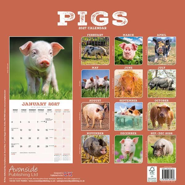 Pigs Kalender 2027