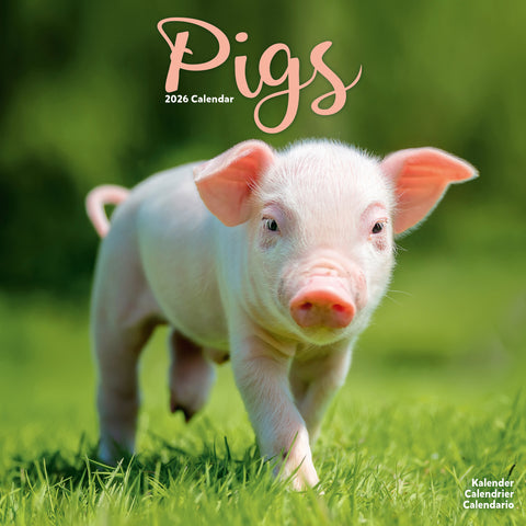 Pigs Kalender 2026