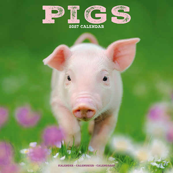 Pigs Kalender 2027
