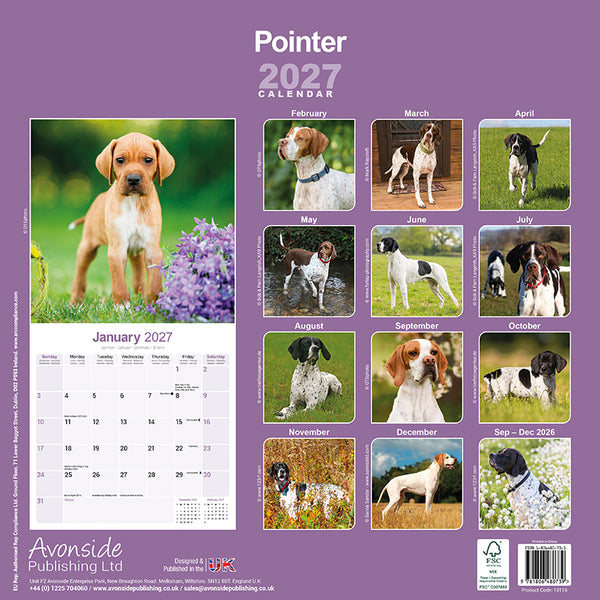 Pointer Kalender 2027