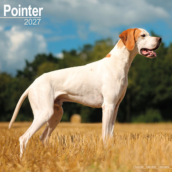 Pointer Kalender 2027
