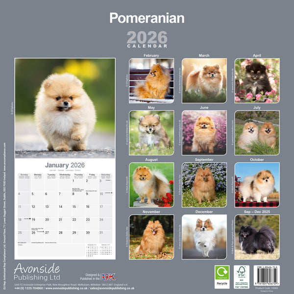 Pomeranian Kalender 2026
