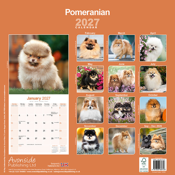 Pomeranian Kalender 2027