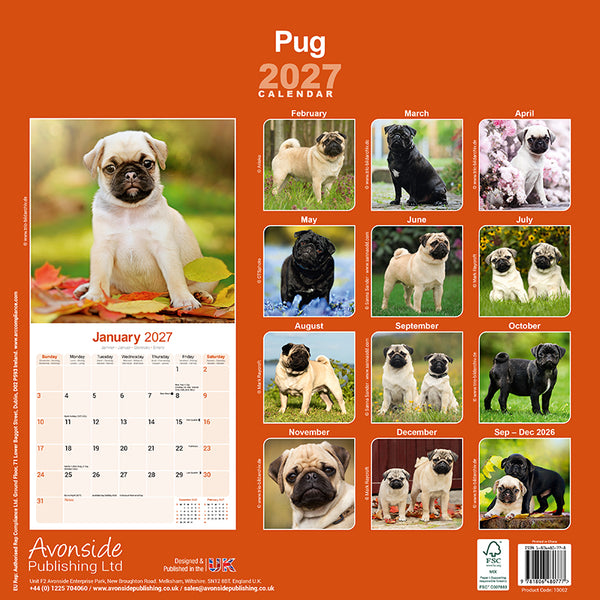 Pug Kalender 2027