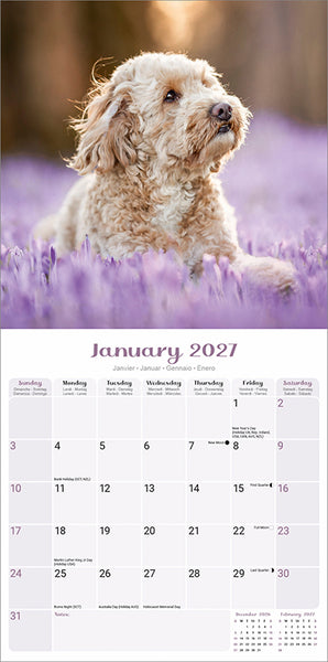 Puppies Kalender 2027